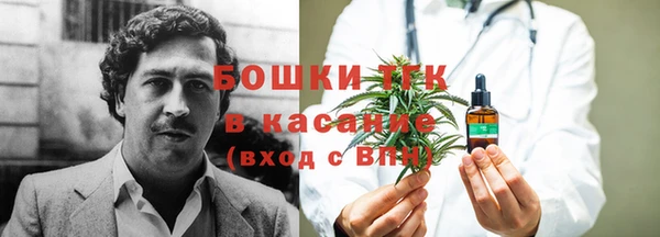 экстази Горняк